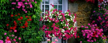 jardim em casa faça voce mesmo